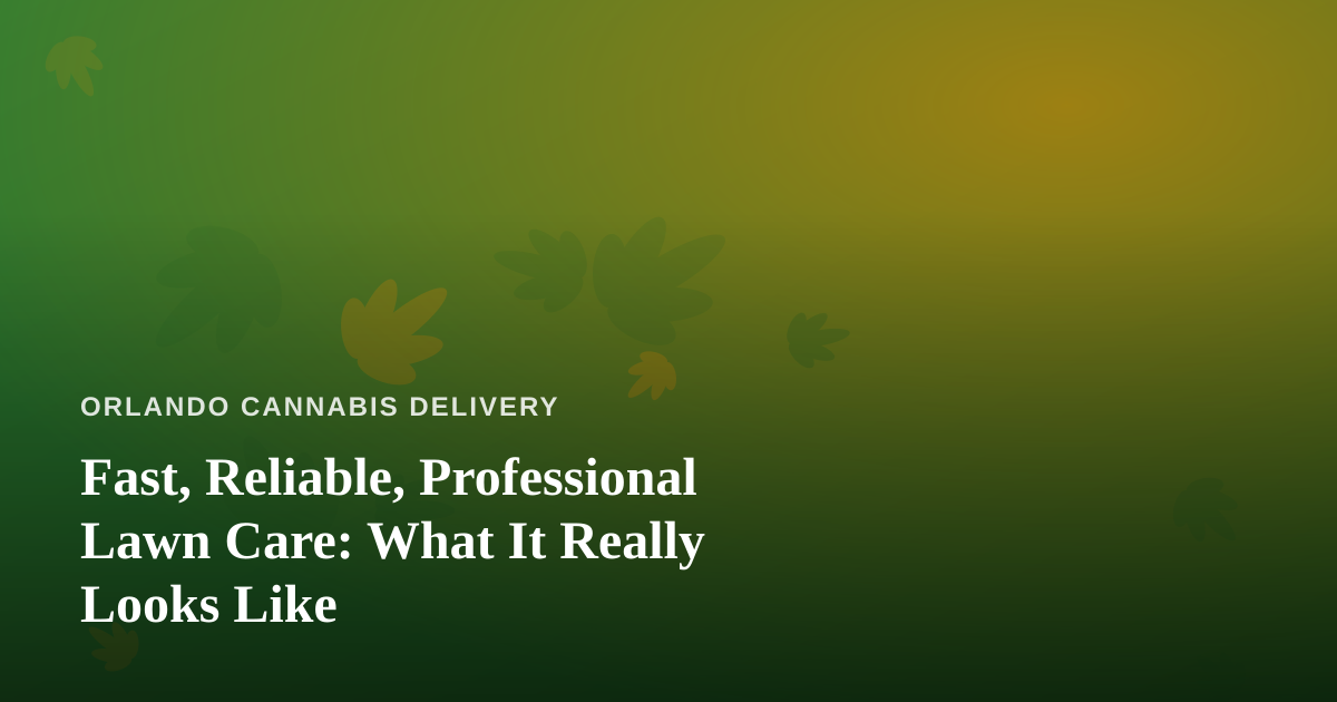 Fast, Reliable, Professional Lawn Care: What It Really Looks Like